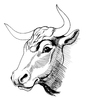 tête de vache