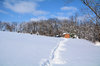 Chemin d'hiver vers l'abri