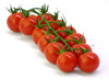 tomate cerise 3