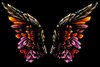 ailes d'anges