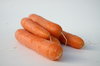 carotte 4