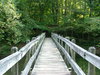 pont en bois en été