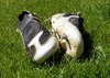chaussures de football
