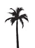 silhouette palmier