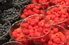 framboises
