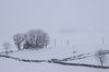 neige à alto campoo