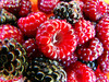 framboise