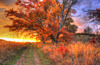 coucher de soleil d'automne coloré