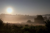 lever de soleil dans le brouillard