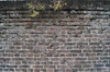mur de briques 21